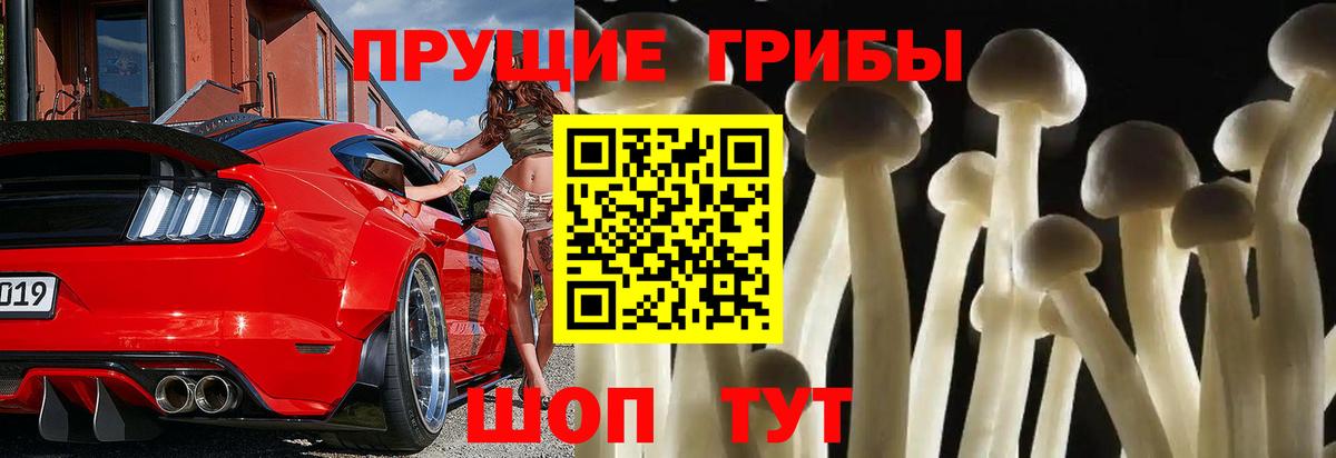 Псилоцибиновые грибы MAGIC MUSHROOMS Кимовск